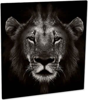 Panel blanco mate 150 X 150 MM para sublimar