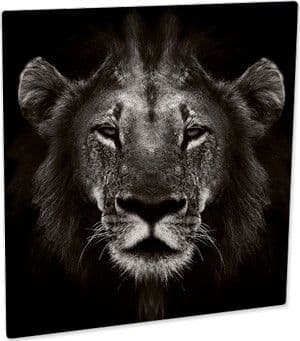Panel Chromaluxe blanco mate 290x290 mm (3067)