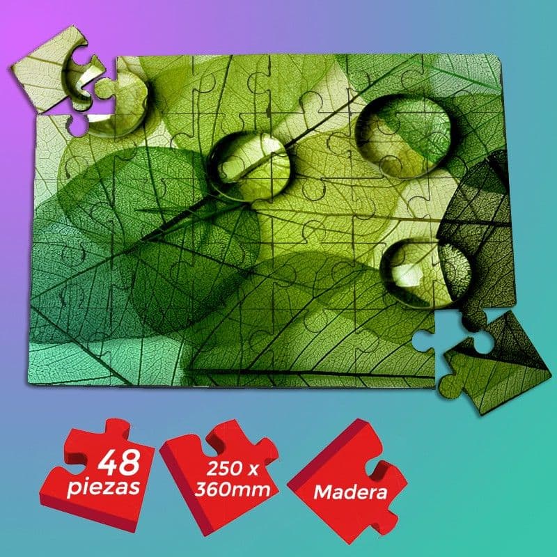 PUZZLE DE MADERA 48 PIEZAS (250X360 MM)
