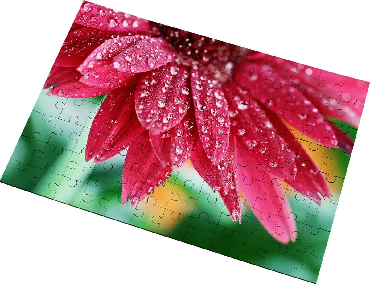 PUZZLE DE MADERA 96 PIEZAS (280X400MM)